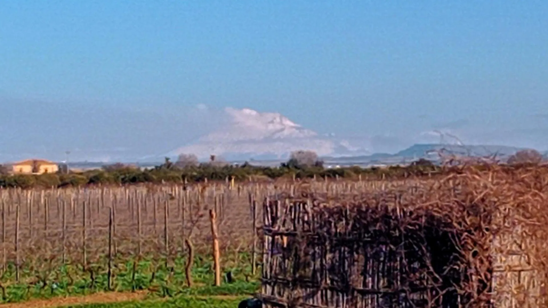 Apartamento Vigna Di Pettineo - Guest House Vittoria